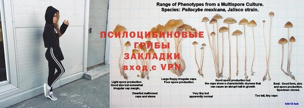 ГАЛЛЮЦИНОГЕННЫЕ ГРИБЫ Волоколамск